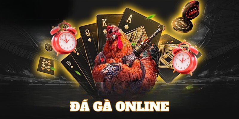 Đá Gà AB77 - Giải trí mọi lúc mọi nơi Đá Gà AB77 - Giải trí mọi lúc mọi nơi